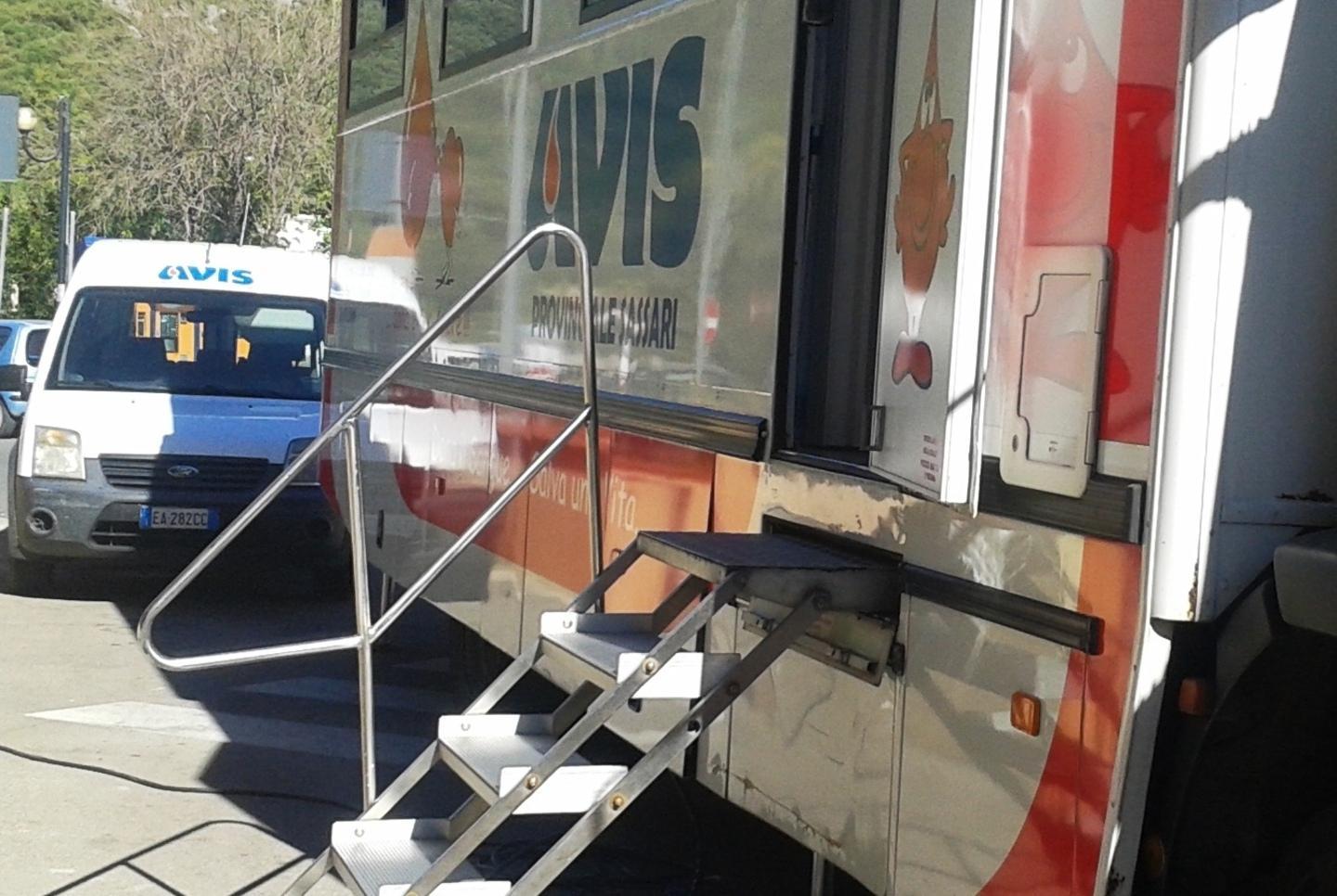 Avis e alberi: due giorni tra solidarietà e natura