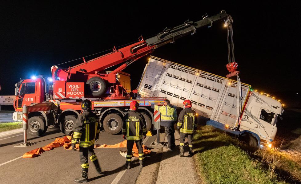 Camion carico di maiali esce di strada, Adriatica bloccata per ore 