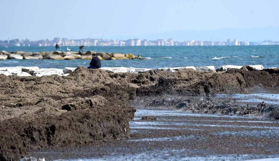 C’è l’ok al “SalvaMare” Il lavarone non è più un rifiuto speciale