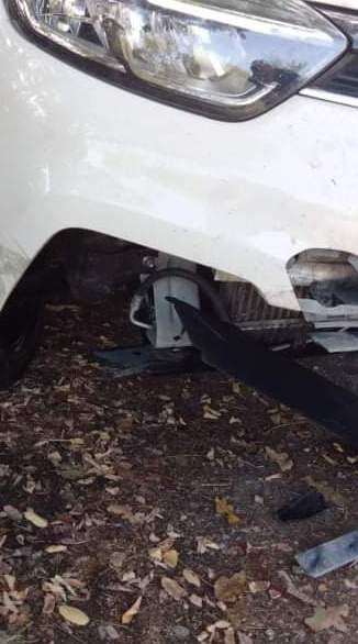 Cinghiali, sempre più alto il rischio incidenti 