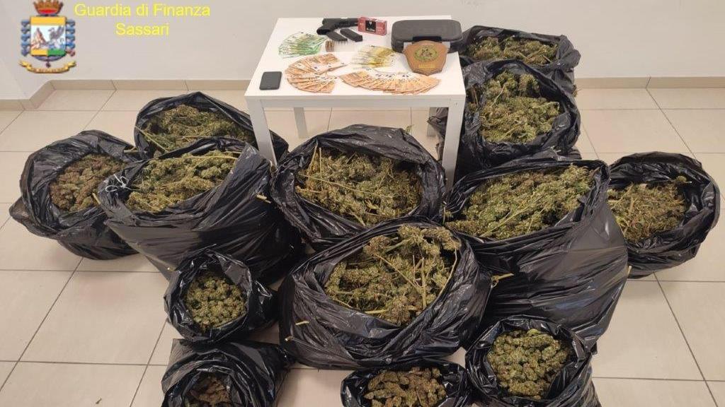 Sulla Nuova di sabato 13, è allarme droga in Sardegna: sequestri raddoppiati
