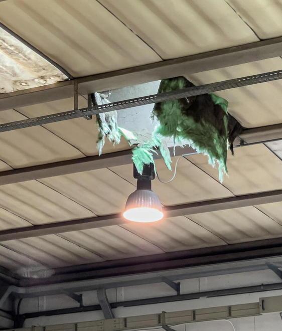 Tecnico precipita dal tetto di un capannone 