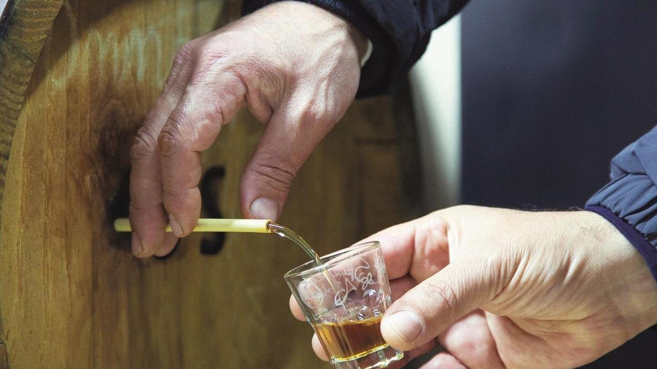 Vernaccia, il vino che svela tutto un territorio