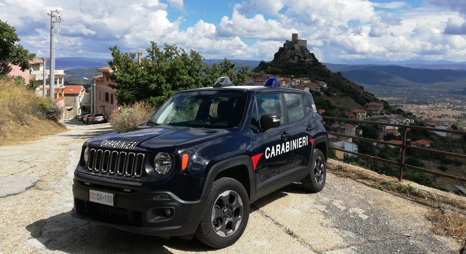 Benetutti, 206 chili di marijuana in un ovile: un arresto