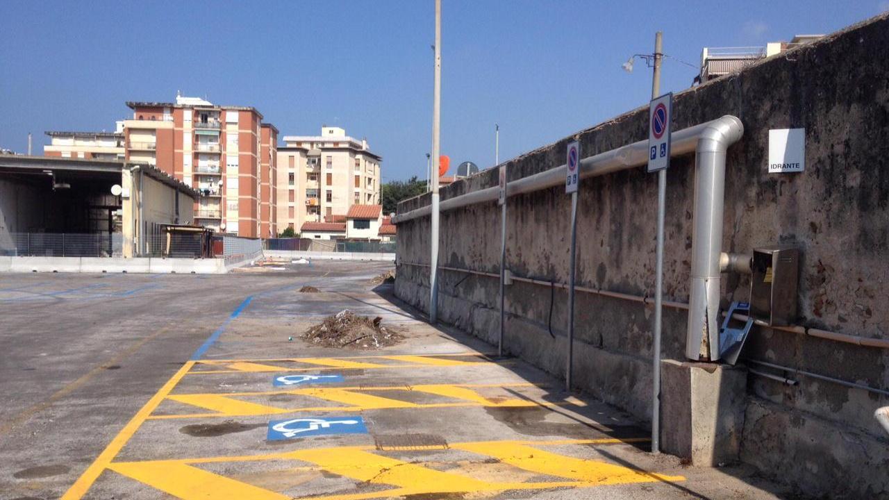 Fila di parcheggi riservati ai disabili nell'area via Forte dei Cavalleggeri