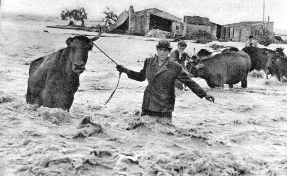 L’alluvione del Po di 70 anni fa: un monito anche per il futuro 