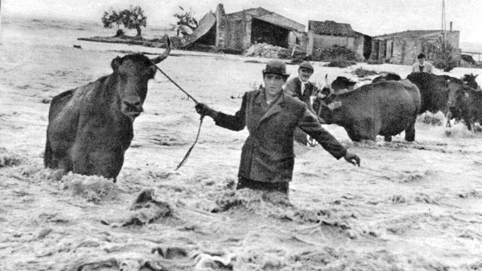 L’alluvione del Po di 70 anni fa: un monito anche per il futuro