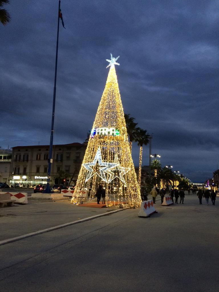 L’albero di Natale di luce in piazza Mazzini