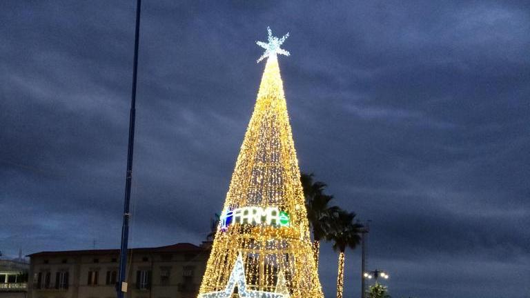 L’albero di Natale di luce in piazza Mazzini