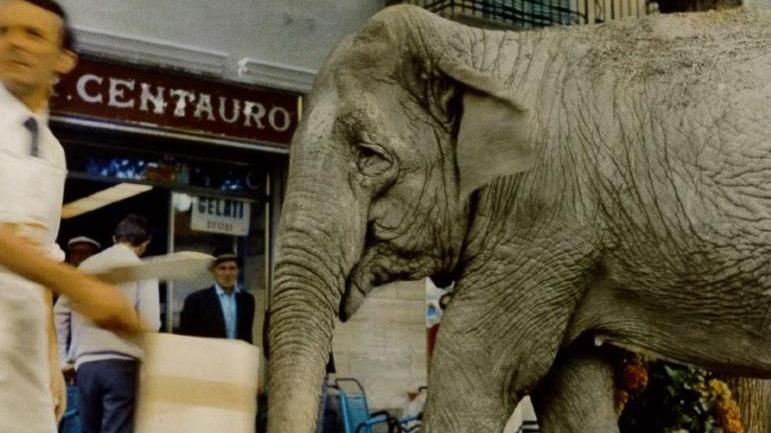 Fanano, dopo 75 anni cambia gestione il bar che servì anche l’elefante