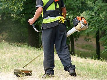 “Alguer Lluenta”, 40 posti di lavoro 