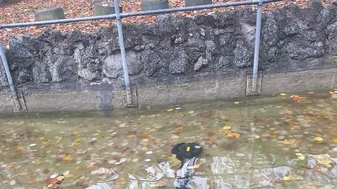 Il monopattino finisce parcheggiato nel laghetto