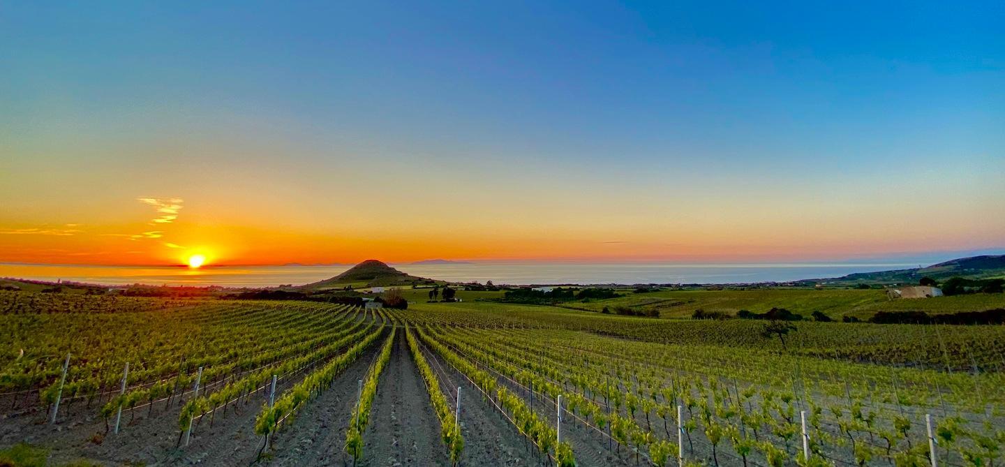 Radice Riserva un vino da non perdere 