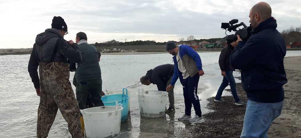 Comacchio. Alla scoperta del mistero che porta le anguille fino al Mar dei Sargassi 