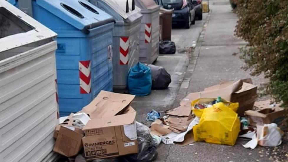 Sporcizia per le strade «Il comune non fa nulla»