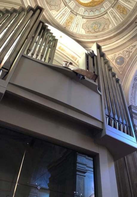 Sant’Agostino, la chiesa riavrà il suo organo «Dedicato ai cittadini che l’hanno voluto»