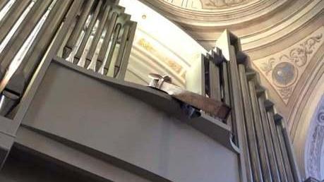Sant’Agostino, la chiesa riavrà il suo organo «Dedicato ai cittadini che l’hanno voluto»