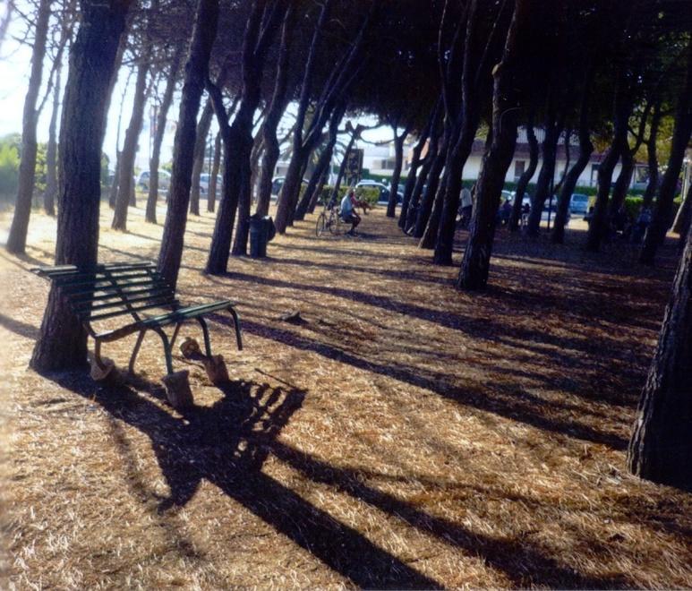 Spacciava in pineta, 32enne finisce nei guai 