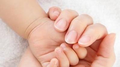 Massarosa, oltre quindici giorni per registrare la neonata all'anagrafe