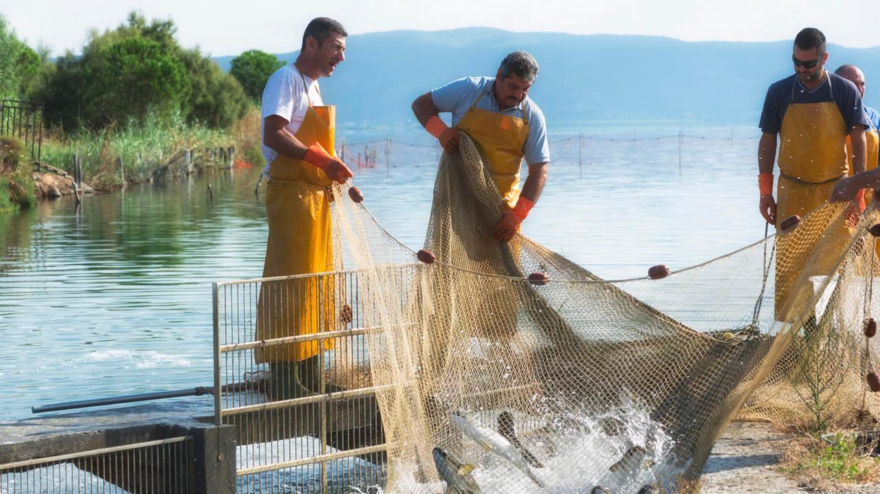 Pescatori al lavoro sulla laguna di Orbetello