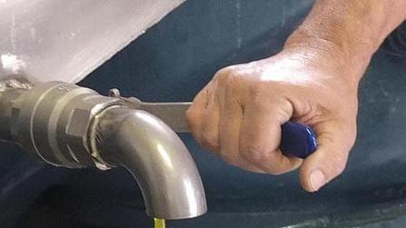 Gli oliveti superintensivi, il vino doc e il latte di pecora