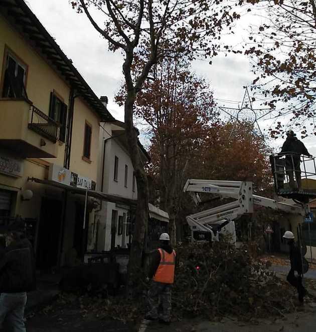 Potatura degli alberi oggi lavori a Solvay
