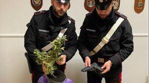 Spaccio e detenzioni di pistole giocattolo prive di tappo rosso