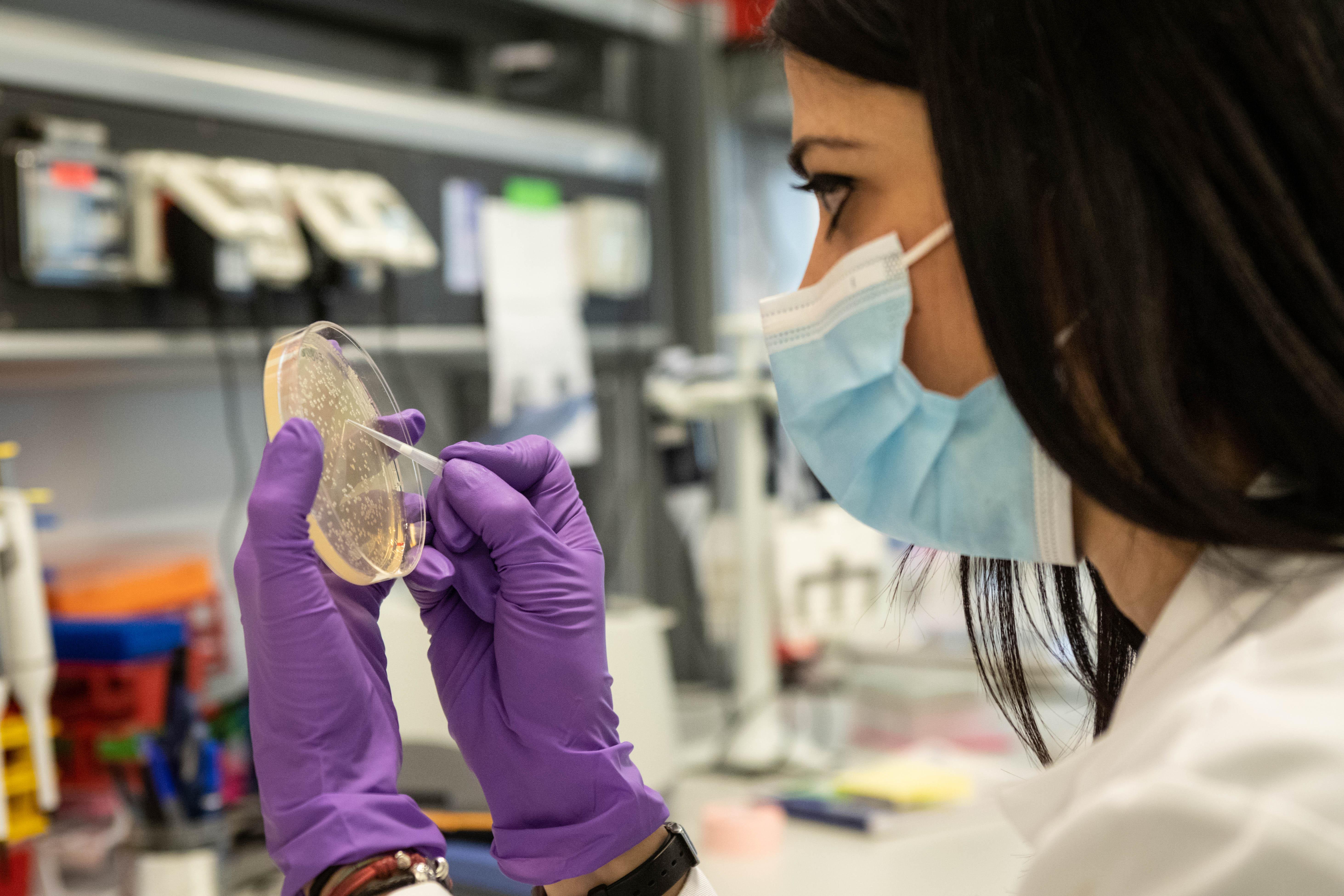 Coronavirus, quattrocento persone sono guarite a Pisa grazie agli anticorpi monoclonali 