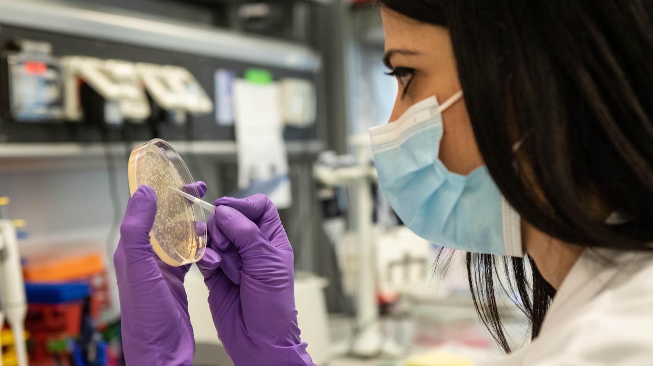 Coronavirus, quattrocento persone sono guarite a Pisa grazie agli anticorpi monoclonali