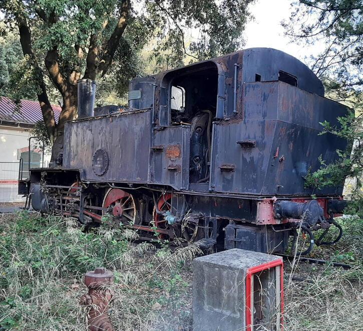 Locomotive centenarie «Storia da valorizzare» 