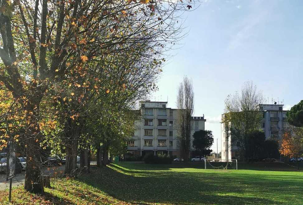  Comune abbatte i pioppi e li sostituisce con i lecci Lunedì il via ai lavori