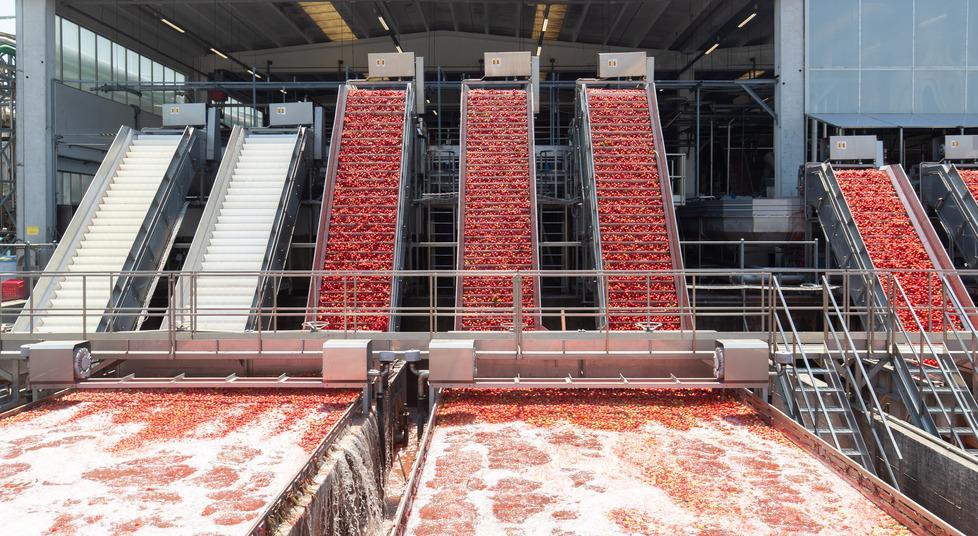 Multa da 20 milioni per Conserve Italia, la Ue: «Faceva cartello sui prezzi» 