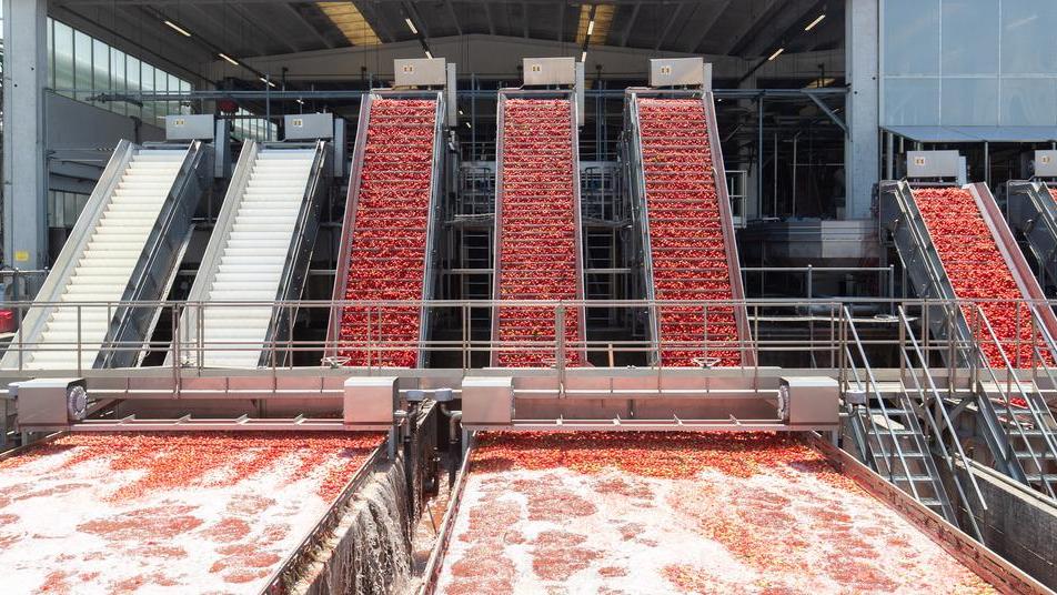 Multa da 20 milioni per Conserve Italia, la Ue: «Faceva cartello sui prezzi»