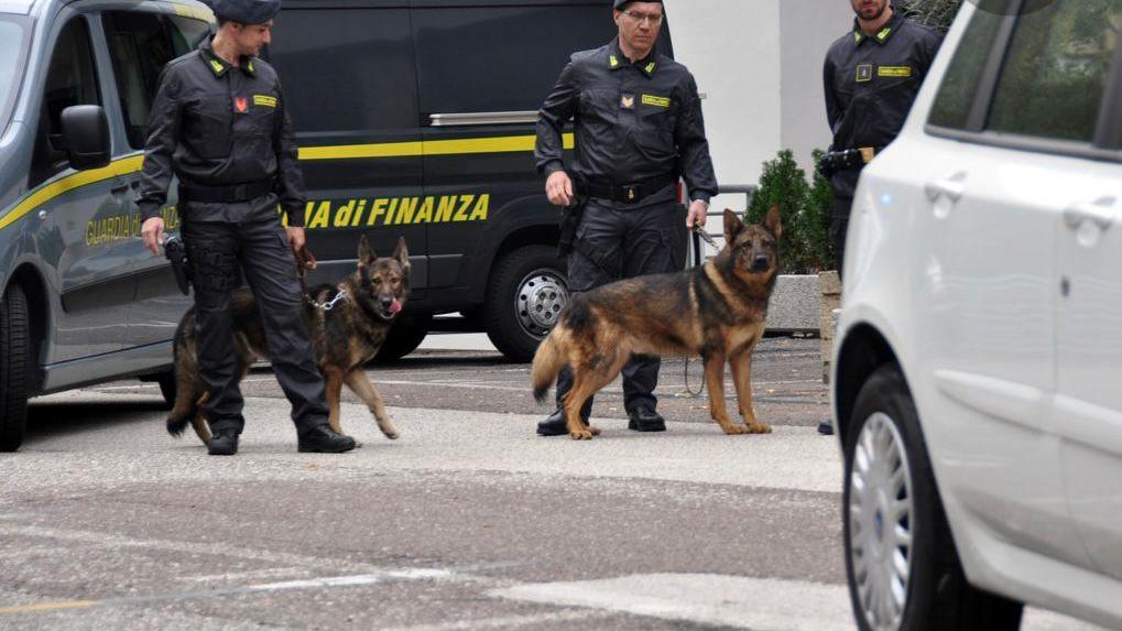 La finanza ha impiegato due cani antidroga nell'operazione