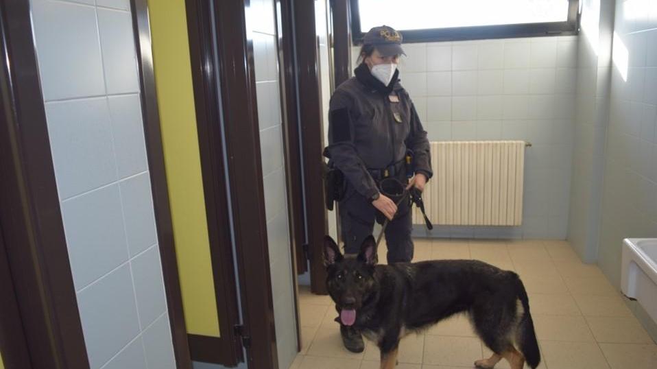 Il cane anti-droga della polizia nei bagni dell'Istituto Gramsci-Keynes