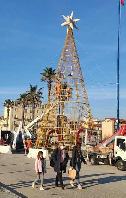 Ecco gli alberi di Natale