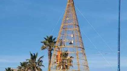 Ecco gli alberi di Natale