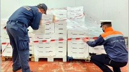 Sequestrati 612 chili di pesce Scatta la multa da 4mila euro