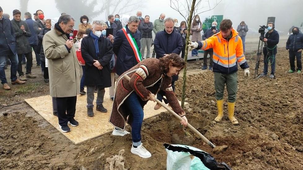 La presidente del consiglio di sorveglianza di Unicoop, Daniela Mori, pianta simbolicamente il primo albero