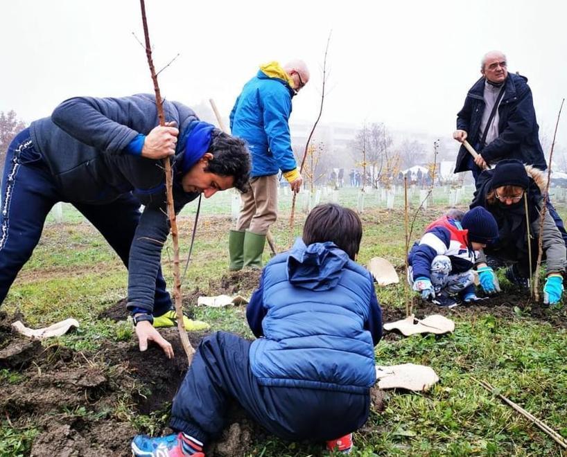 Famiglie e istituzioni piantano 400 alberi al parco Acque Chiare: «Sempre più verde» 