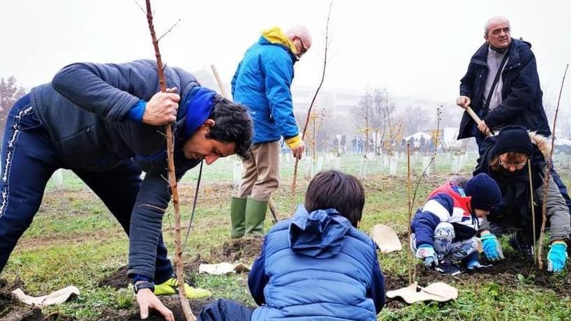 Famiglie e istituzioni piantano 400 alberi al parco Acque Chiare: «Sempre più verde»