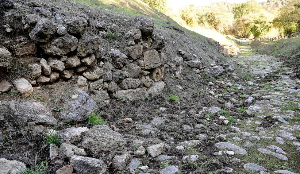 Gli scavi adesso li fanno i cinghiali Danneggiata la necropoli etrusca 