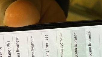 «Tanta paura ma non danni» Domani riaprono le scuole