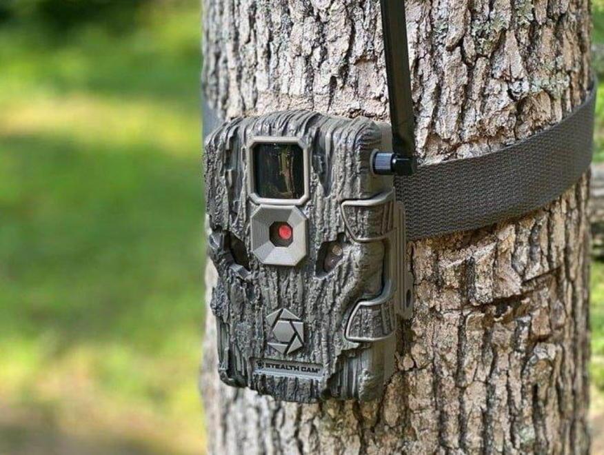 Niente fototrappole La caccia ai furbetti dei rifiuti si farà con le telecamere 