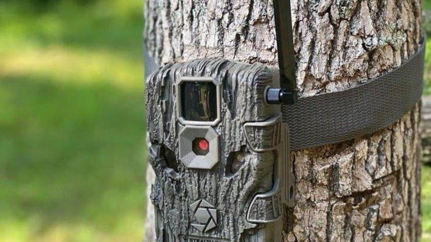 Niente fototrappole La caccia ai furbetti dei rifiuti si farà con le telecamere