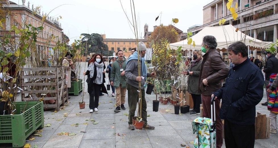 Centinaia di cittadini in piazza per ricevere un albero in regalo 