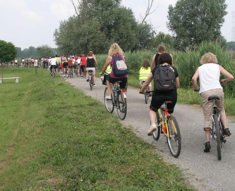 La Cispadana Ciclabile si è messa in marcia In Regione l’idea piace 