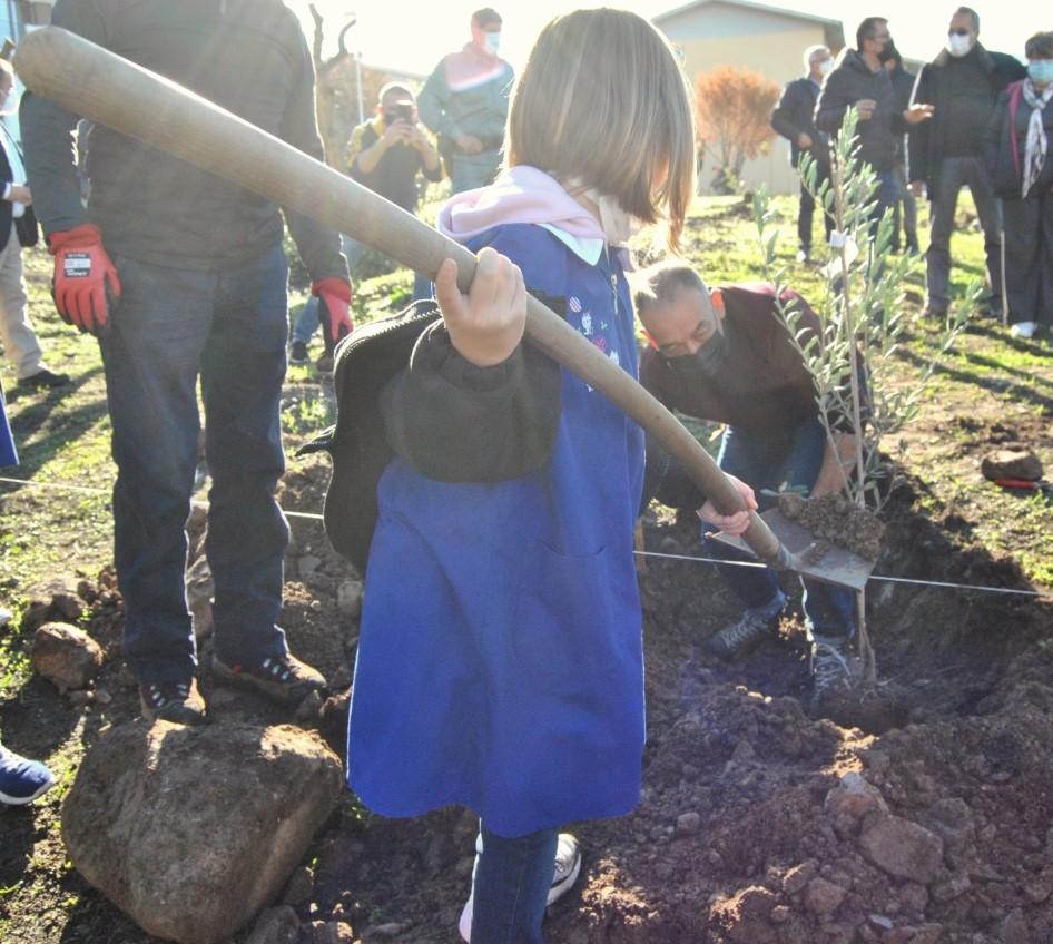 Esperti e scienziati cercano la cura per i territori devastati dagli incendi