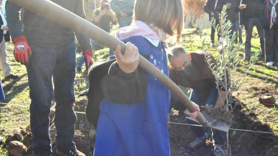 Esperti e scienziati cercano la cura per i territori devastati dagli incendi