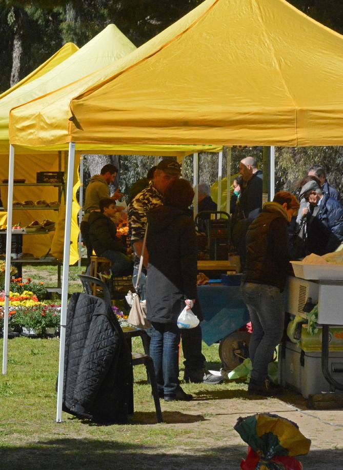 Campagna amica si trasferisce in via Matteotti